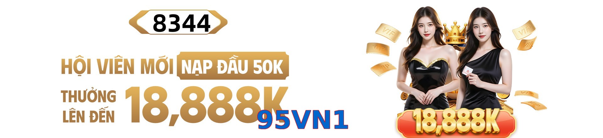 95VN1